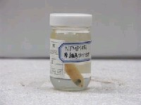 藏品(羅氏擬花鮨)的圖片